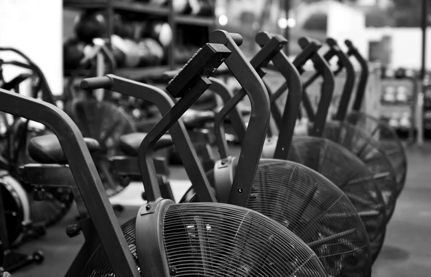 The conditioning floor at XD FIT lined with air bikes